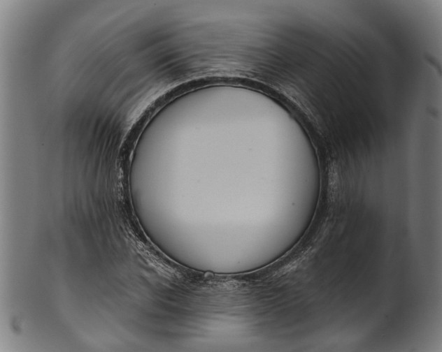 X0000101230926200807111116