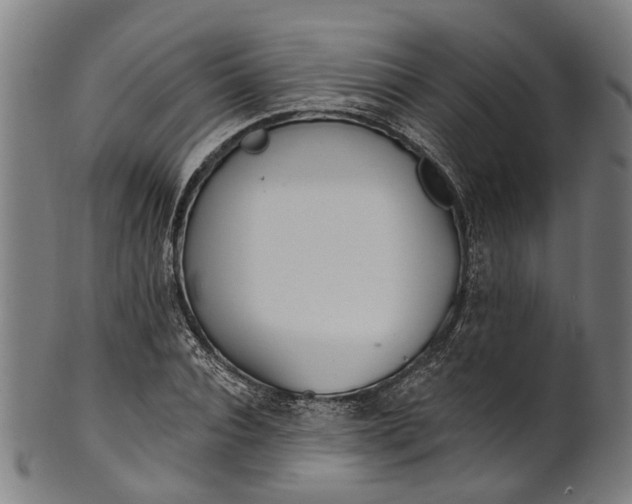 X0000101230928200807111116