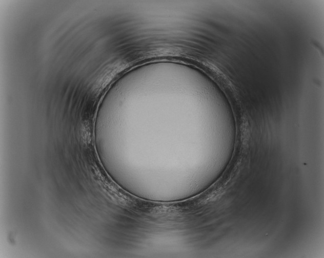 X0000101230929200807111116