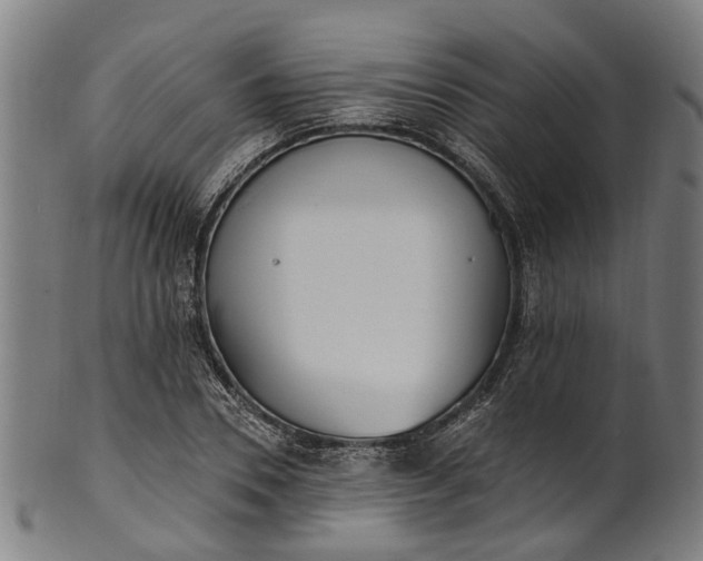 X0000101230930200807111116