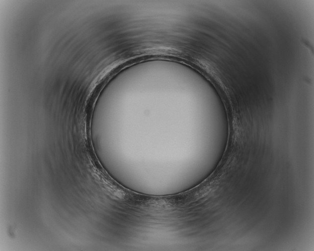 X0000101230931200807111116