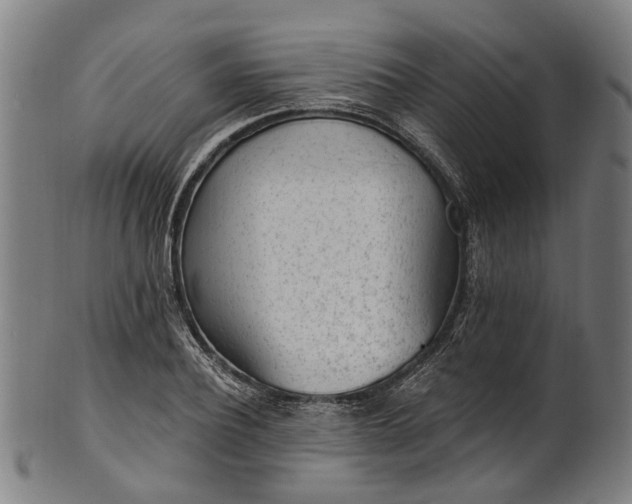 X0000101230932200807111116