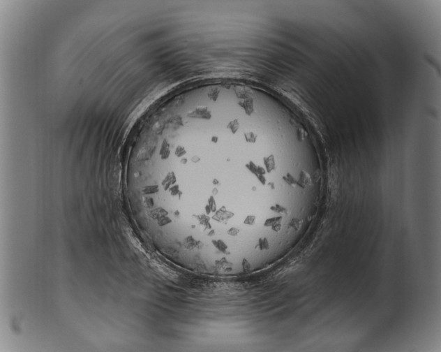 X0000101230933200807111117