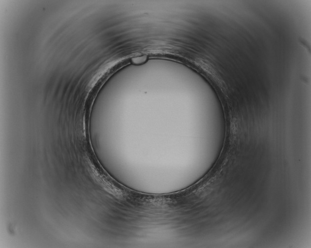 X0000101230934200807111117