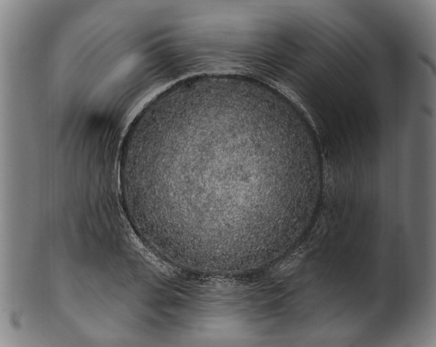 X0000101230935200807111117