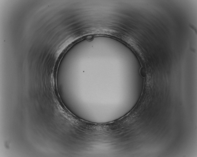 X0000101230936200807111117