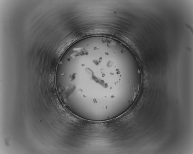 X0000101230937200807111117