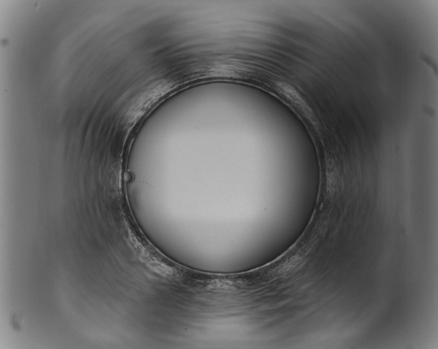 X0000101230938200807111117