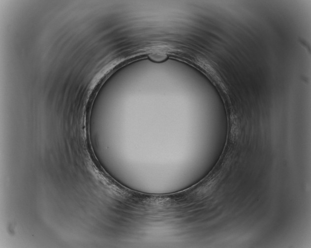 X0000101230939200807111117