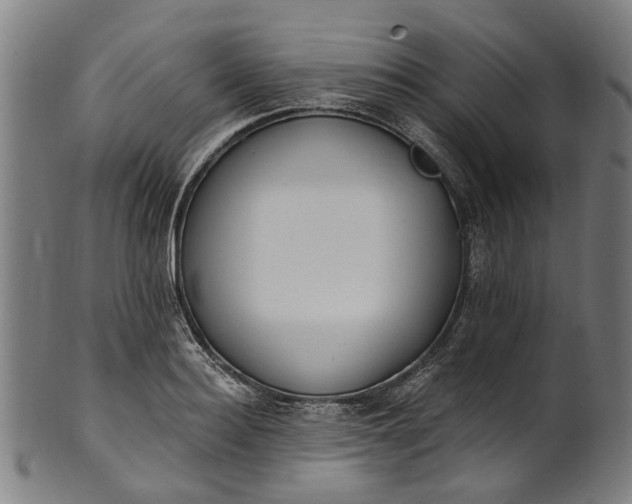 X0000101230940200807111117