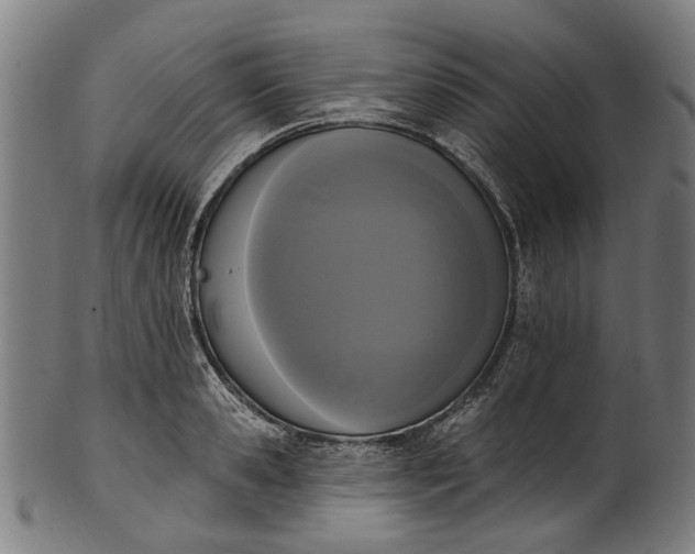 X0000101230941200807111117