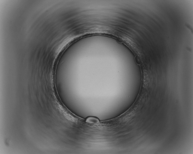 X0000101230942200807111117