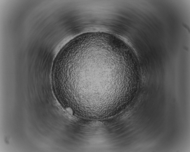 X0000101230943200807111117