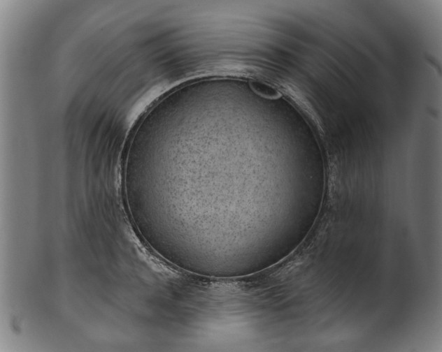 X0000101230944200807111117