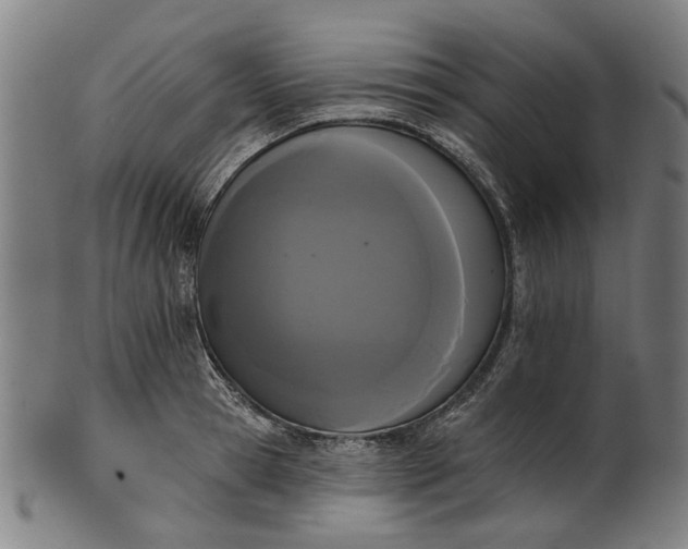 X0000101230945200807111117