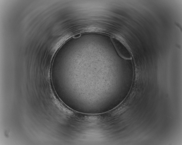 X0000101230946200807111117