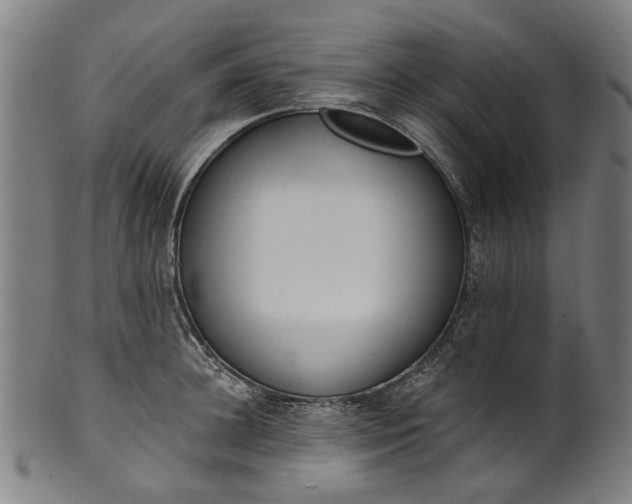 X0000101230948200807111117