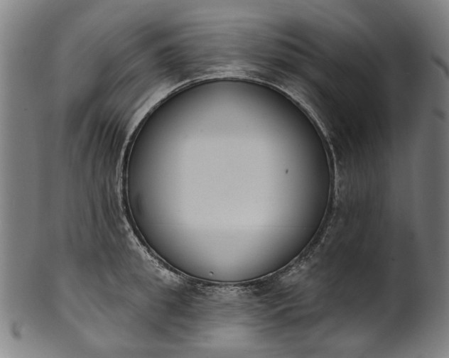 X0000101230949200807111117