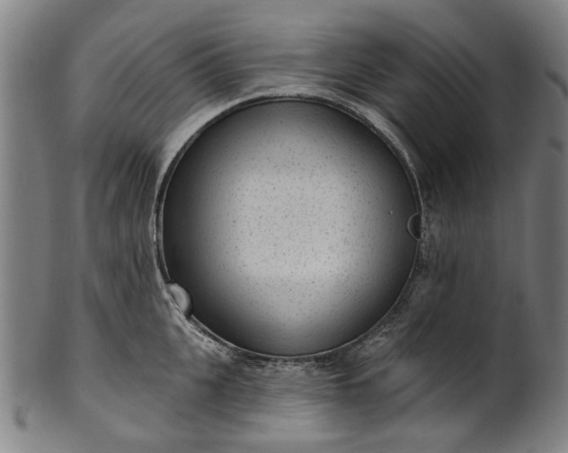 X0000101230951200807111117