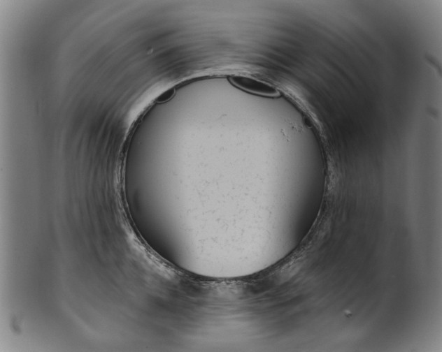 X0000101230952200807111117