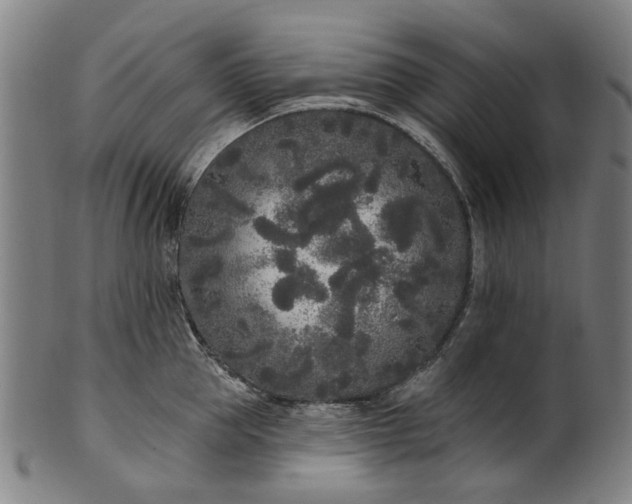 X0000101230953200807111117