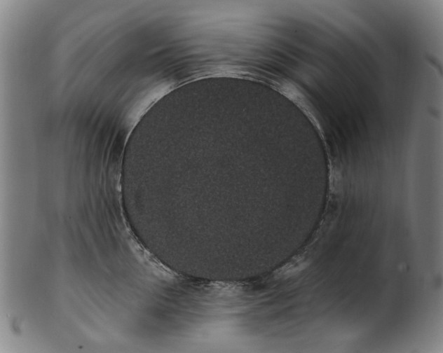 X0000101230954200807111117