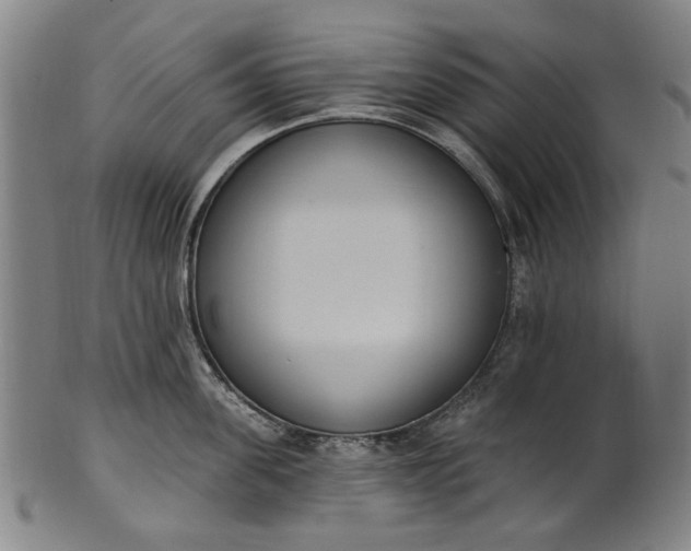 X0000101230955200807111117