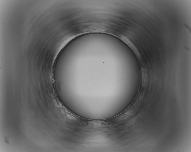 X0000101230956200807111117