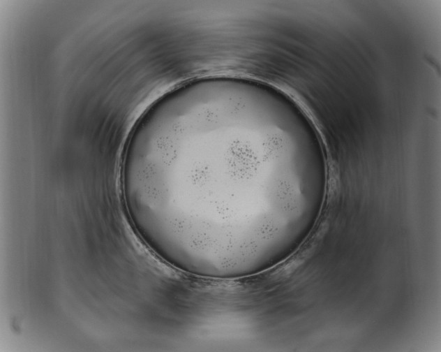 X0000101230957200807111117