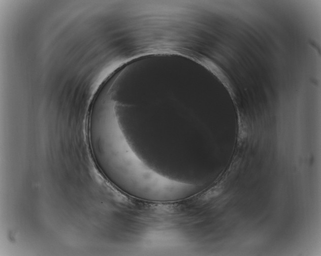 X0000101230958200807111117