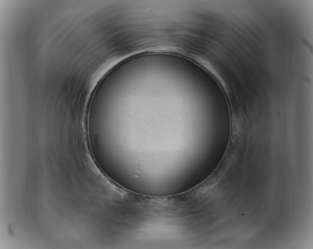 X0000101230959200807111117