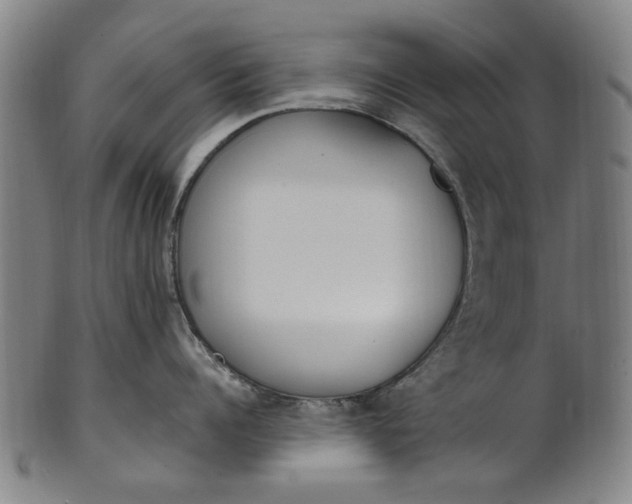 X0000101230960200807111117