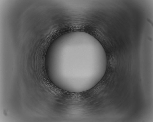 X0000101230961200807111116