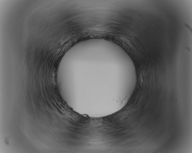 X0000101230964200807111116