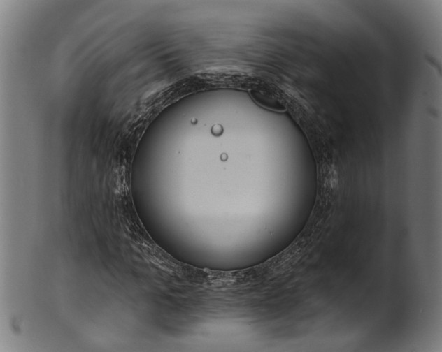 X0000101230965200807111116