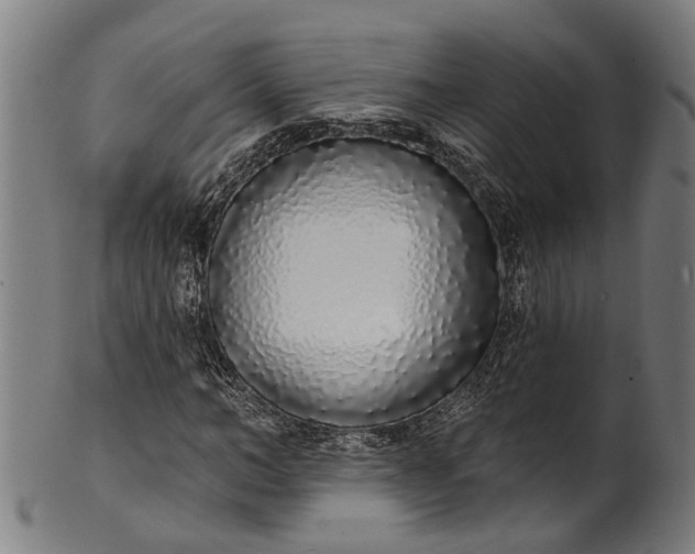 X0000101230966200807111116