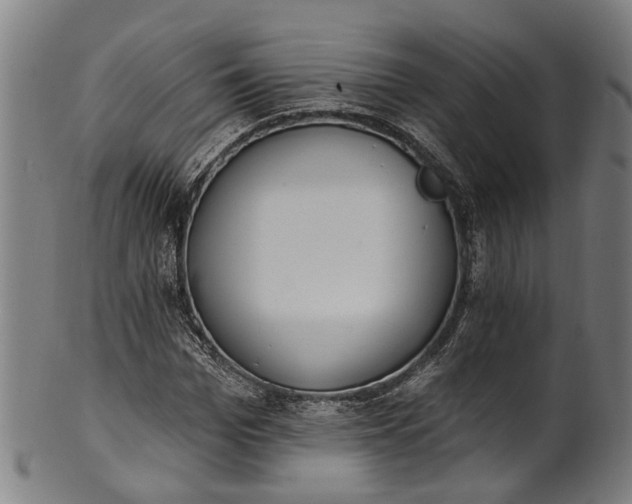 X0000101230969200807111116