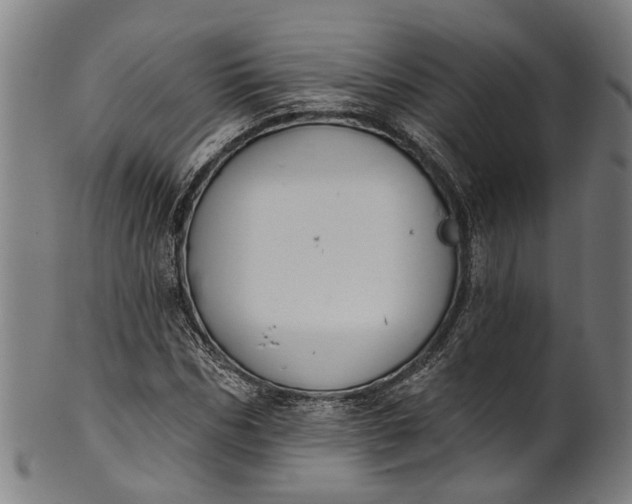 X0000101230970200807111116