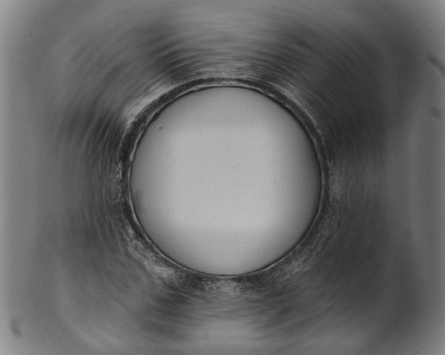 X0000101230971200807111116