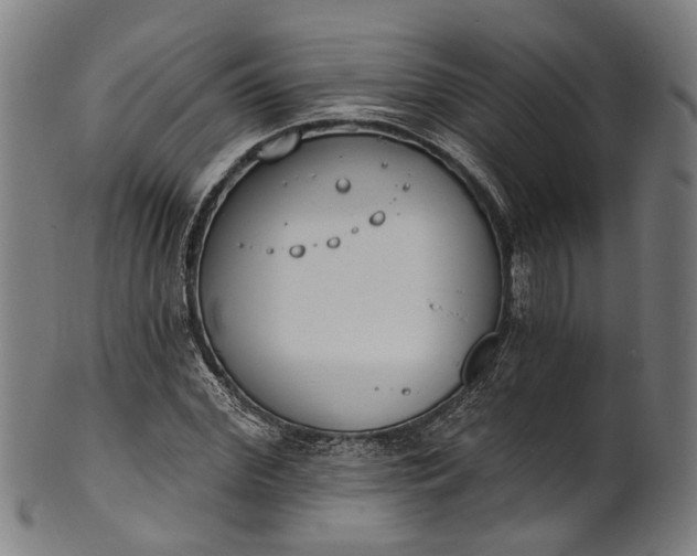 X0000101230972200807111116