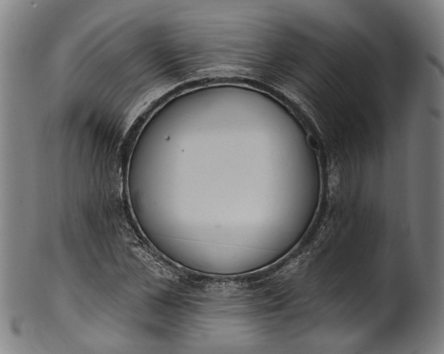 X0000101230973200807111116