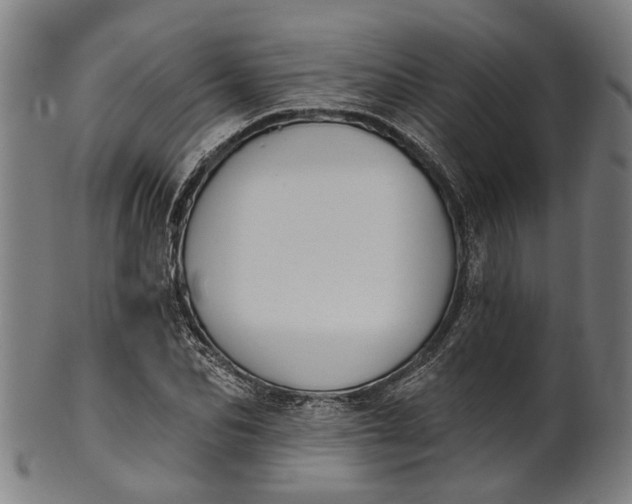 X0000101230974200807111116