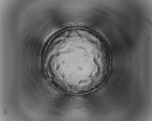 X0000101230975200807111116