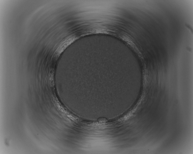 X0000101230977200807111116