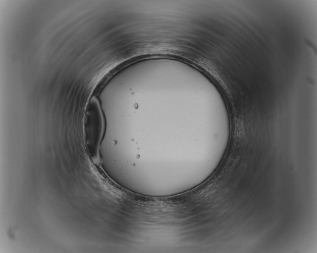 X0000101230980200807111116