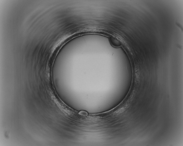 X0000101230981200807111116