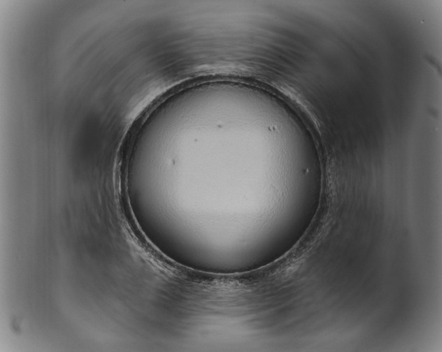 X0000101230983200807111116