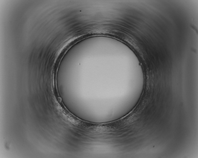 X0000101230984200807111116