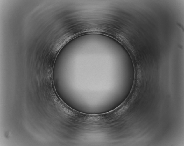 X0000101230985200807111116