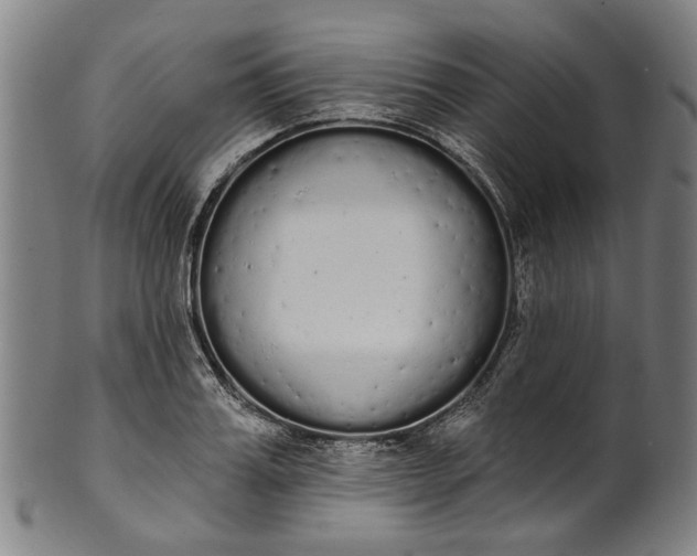 X0000101230987200807111116